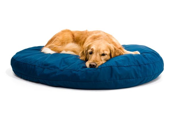 The 4 Best Washable Dog Beds