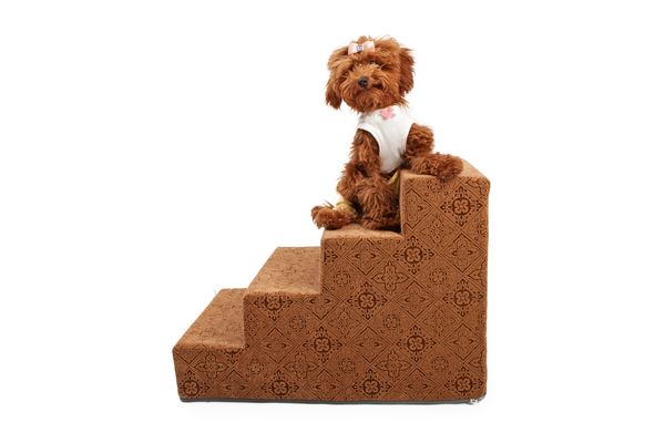 The Best Dog Stairs: A Buyers Guide